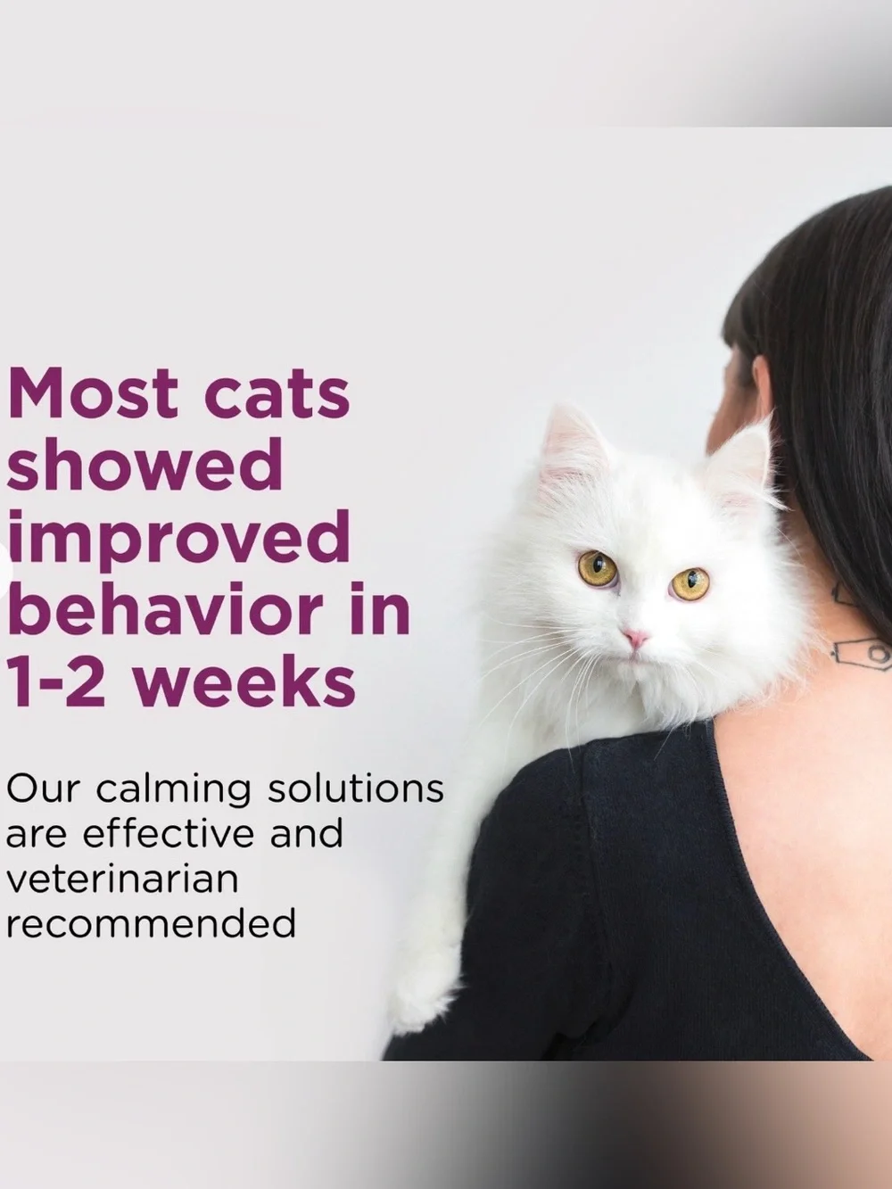 NIB Comfort Zone Calming Pheromone Cat Collars - White, 2 Pack